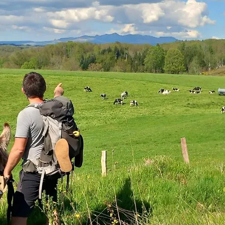 Tipi Immersion Nature Saint-Etienne-de-Chomeil