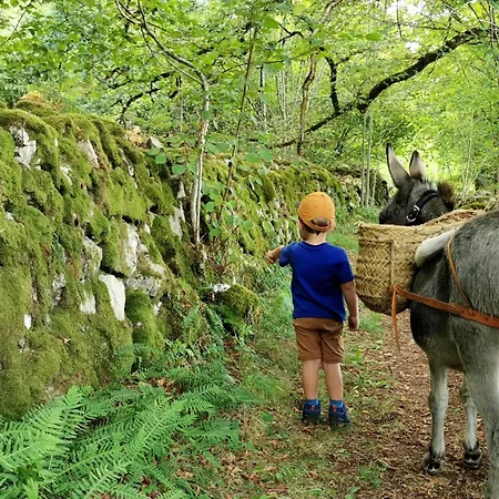 Tipi Immersion Nature