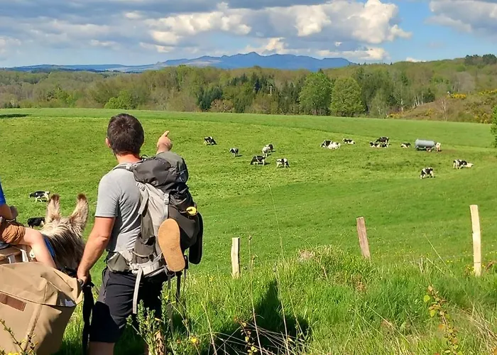 Tipi Immersion Nature Saint-Etienne-de-Chomeil
