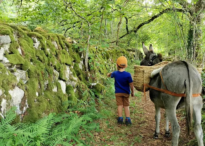 Tipi Immersion Nature